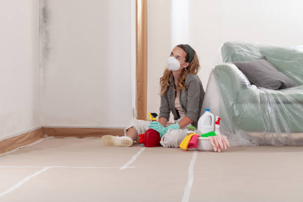 Reliable Basement Mold Remediation contractor in Cedar Knolls, NJ by WQB Mold Removal